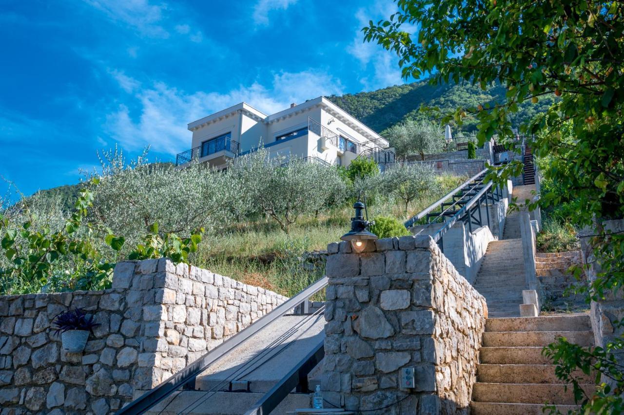 Stoliva Residence With Infinity Pool Kotor Eksteriør billede